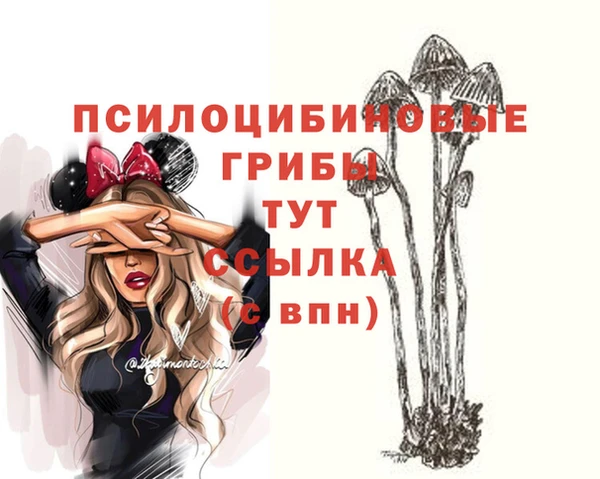 mdpv Абдулино