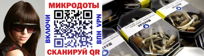 цена   Киржач  мориарти телеграм  Псилоцибиновые грибы Psilocybine cubensis 