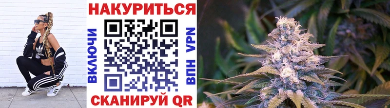 Бошки марихуана Amnesia  купить  цена  Киржач 